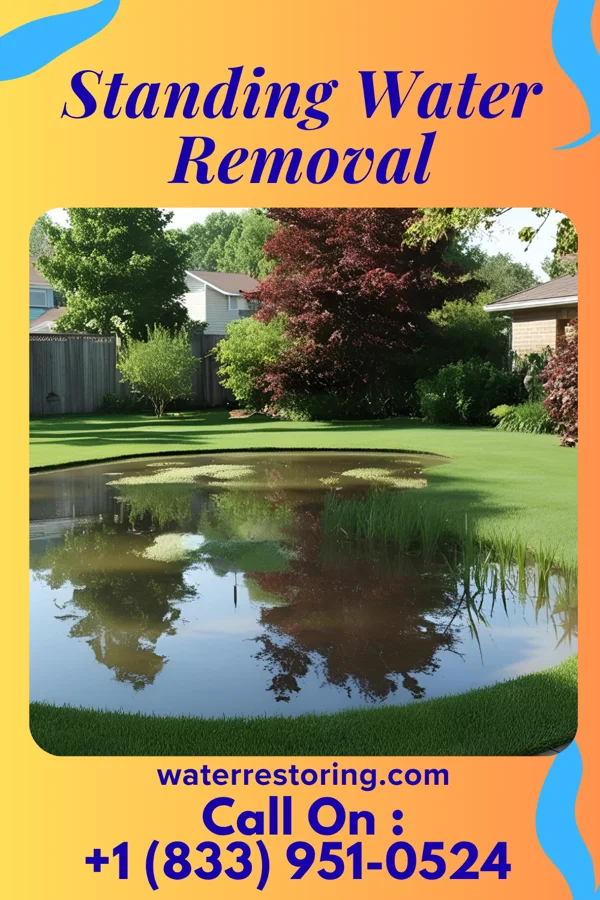 Standing Water Removal in Lookout Mountain, GA